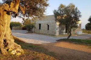 Volito house Piccante