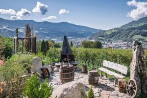 Weinberg-Chalet Steindlgut