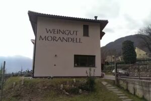 Weingut Morandell