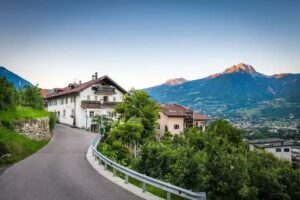 Weingut Pardellerhof