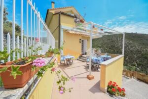 why not jona? CIN IT009065C1ZINFRSJI