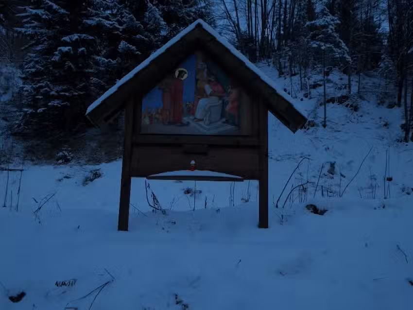 zimmerkarkus. in una casa della Vicinìa di Camporosso