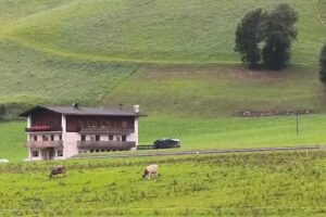 Zum Graf | Klein Fein Hotel & Restaurant